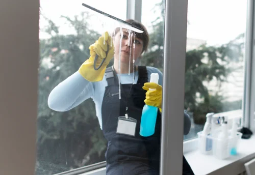 Nettoyage de vitres intérieures et extérieures à Réans